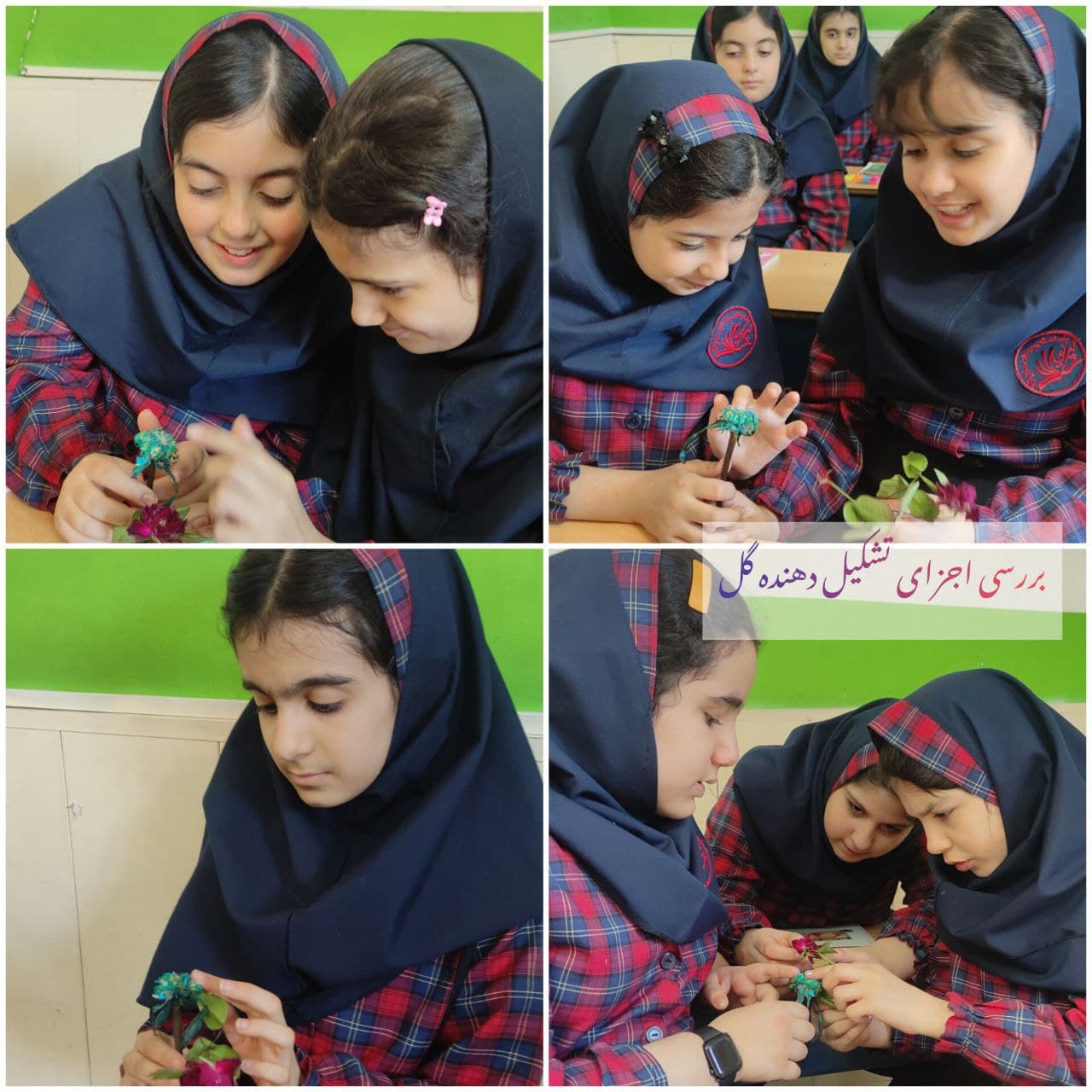 کار با میکروسکوپ ، زنگ علوم